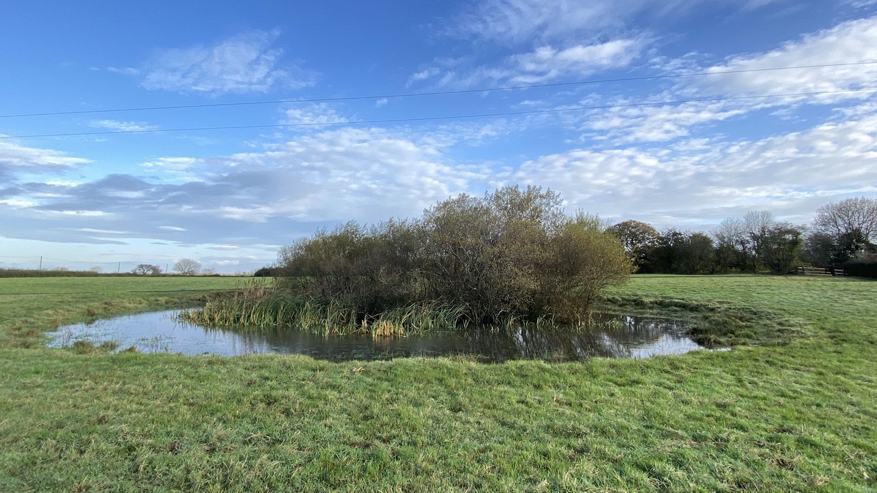 Photo of Outdoor in Compton Martin