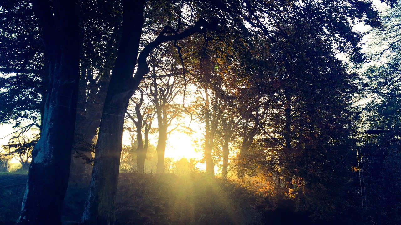 Photo of Outdoor in Compton Martin