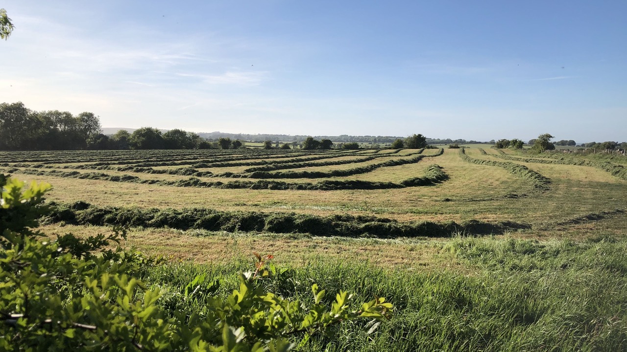 Photo of Others in Compton Martin