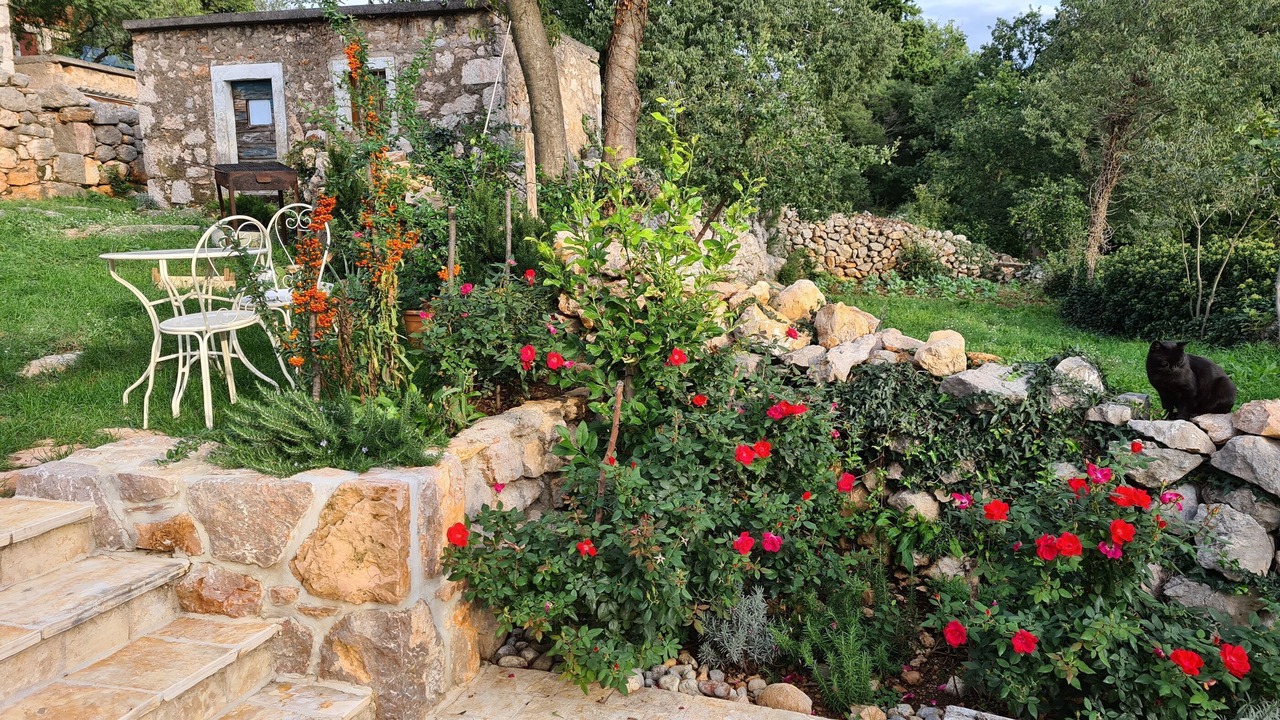 Photo of Outdoor in Seline