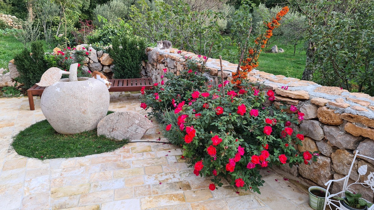 Photo of Outdoor in Seline