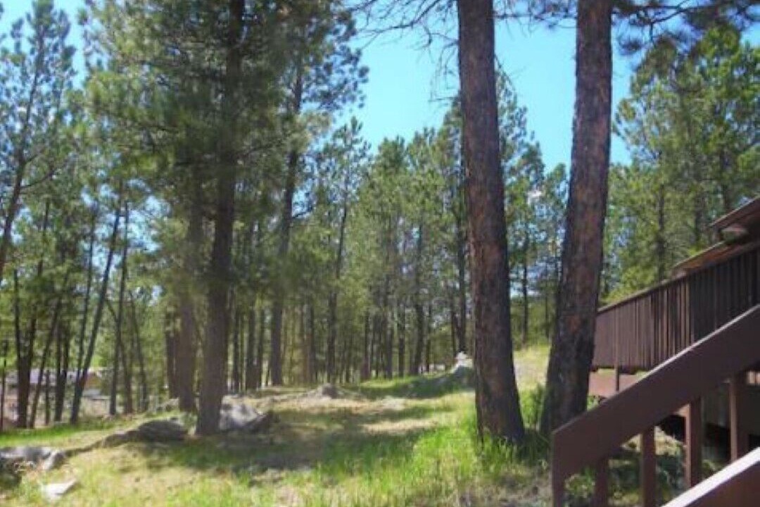Photo of Outdoor in Custer