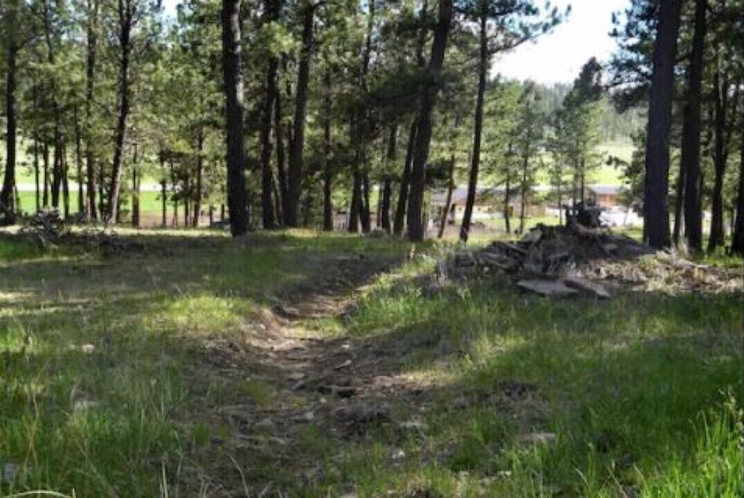 Photo of Outdoor in Custer