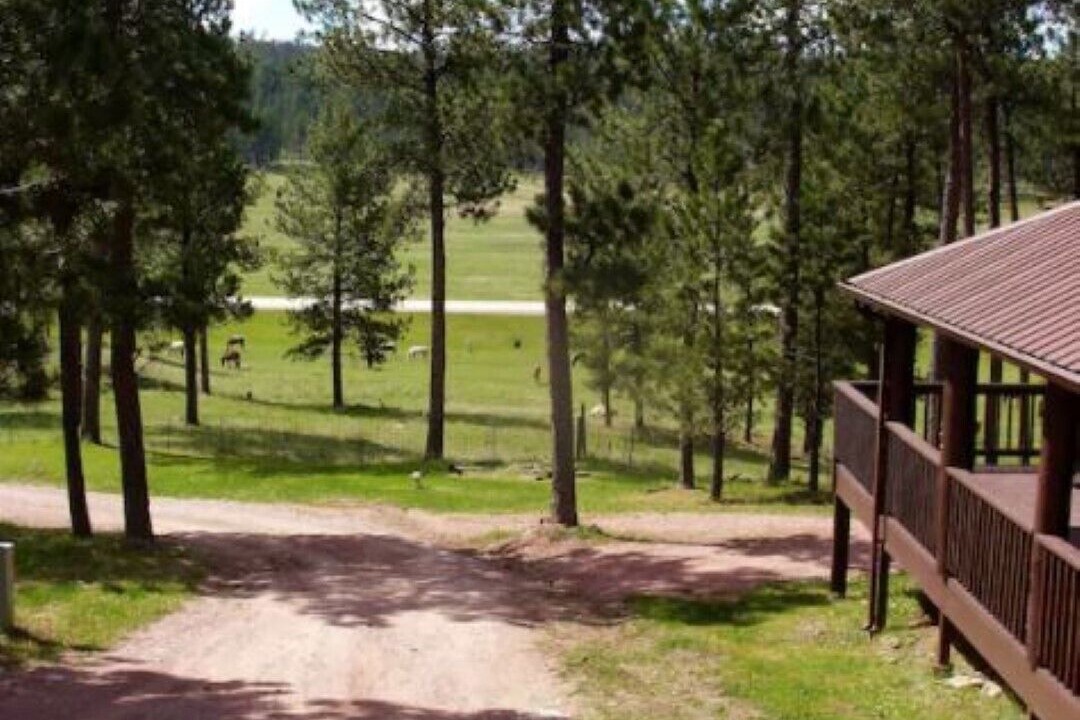 Photo of Outdoor in Custer
