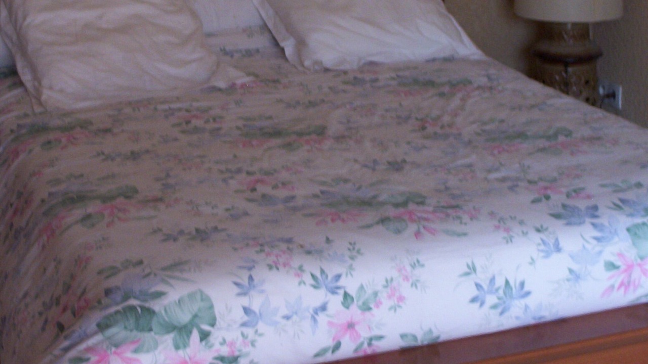Photo of Bedroom in Vagnas