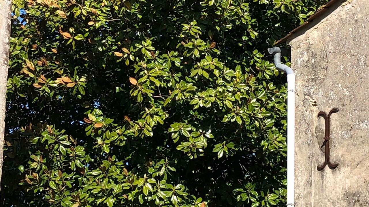 Photo of Outdoor in Doulezon