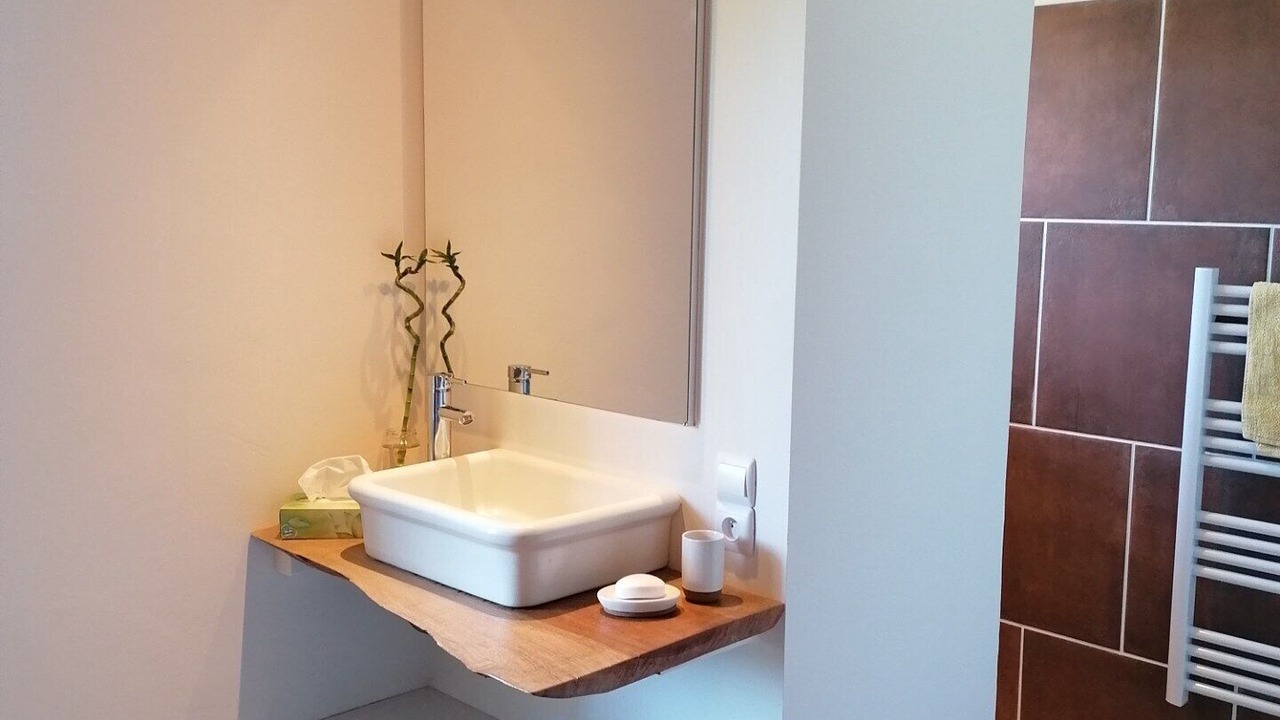 Photo of Bathroom in Salles-Curan