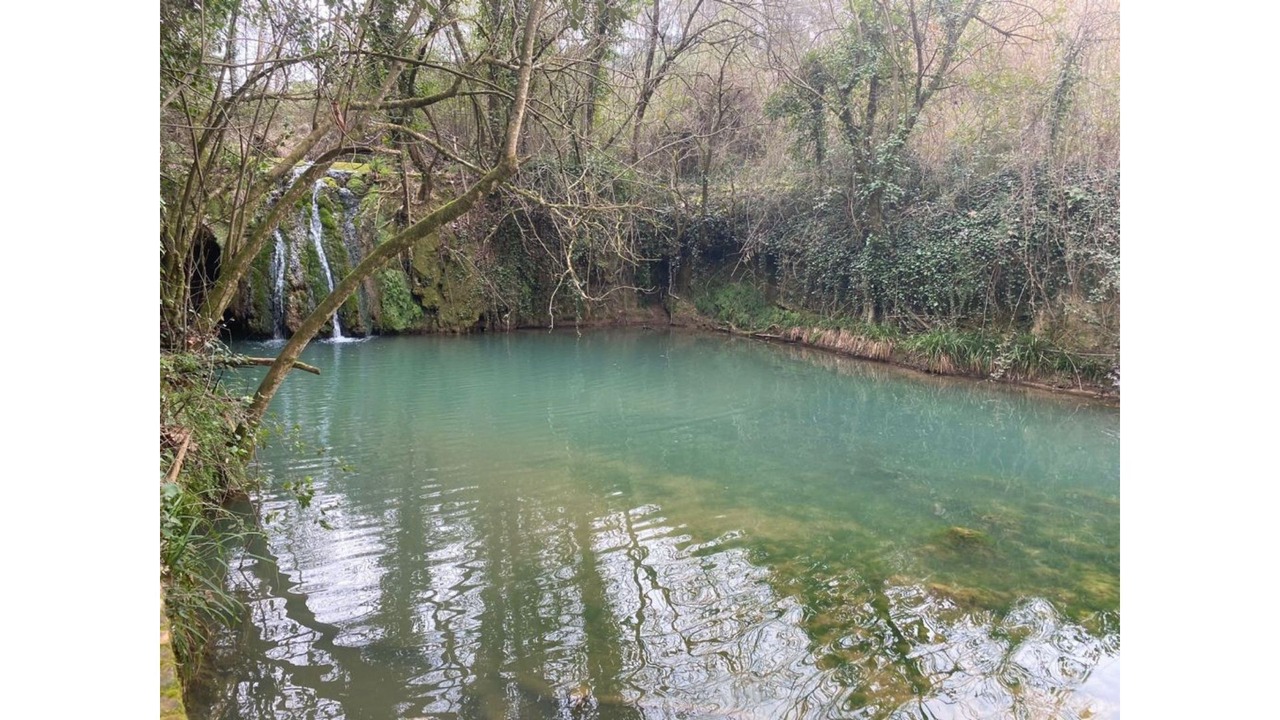 Photo of Outdoor in Bascara