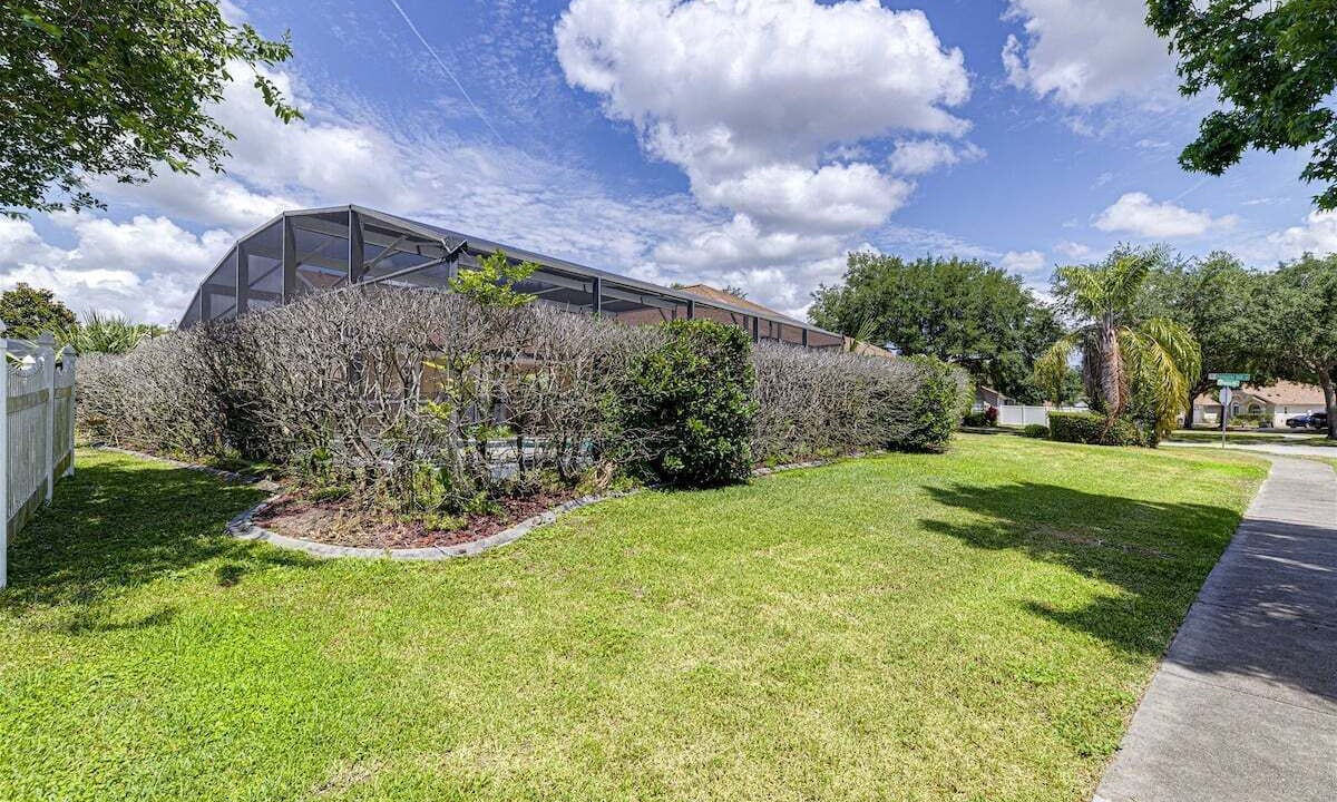 Photo of Outdoor in Orange Tree