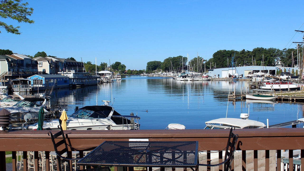 Photo of Others in South Haven