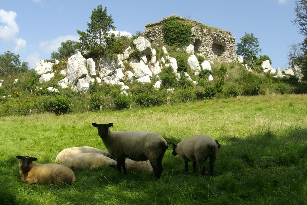 Photo of Others in La Croix-Blanche