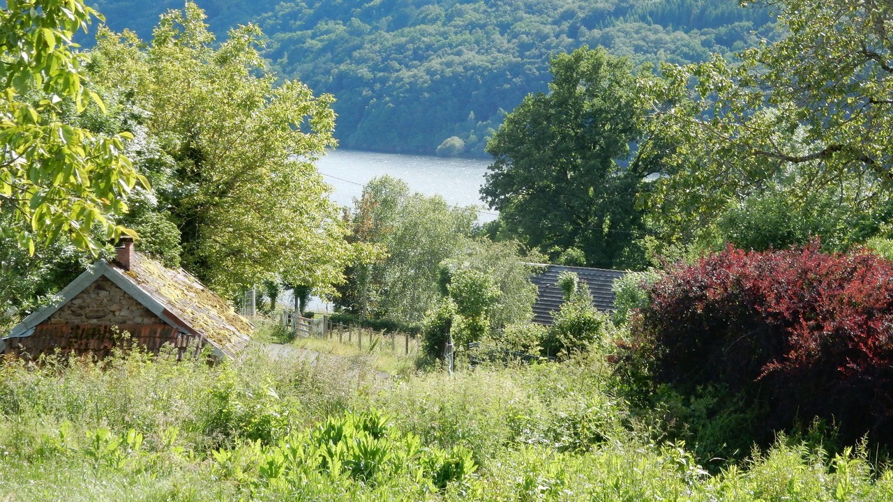 Photo of Others in Plantades