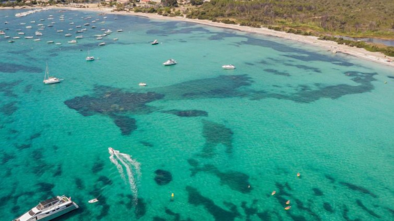 Photo of Others in Porto-Vecchio