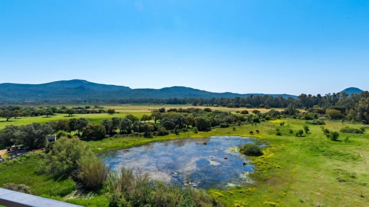Photo of Others in Porto-Vecchio