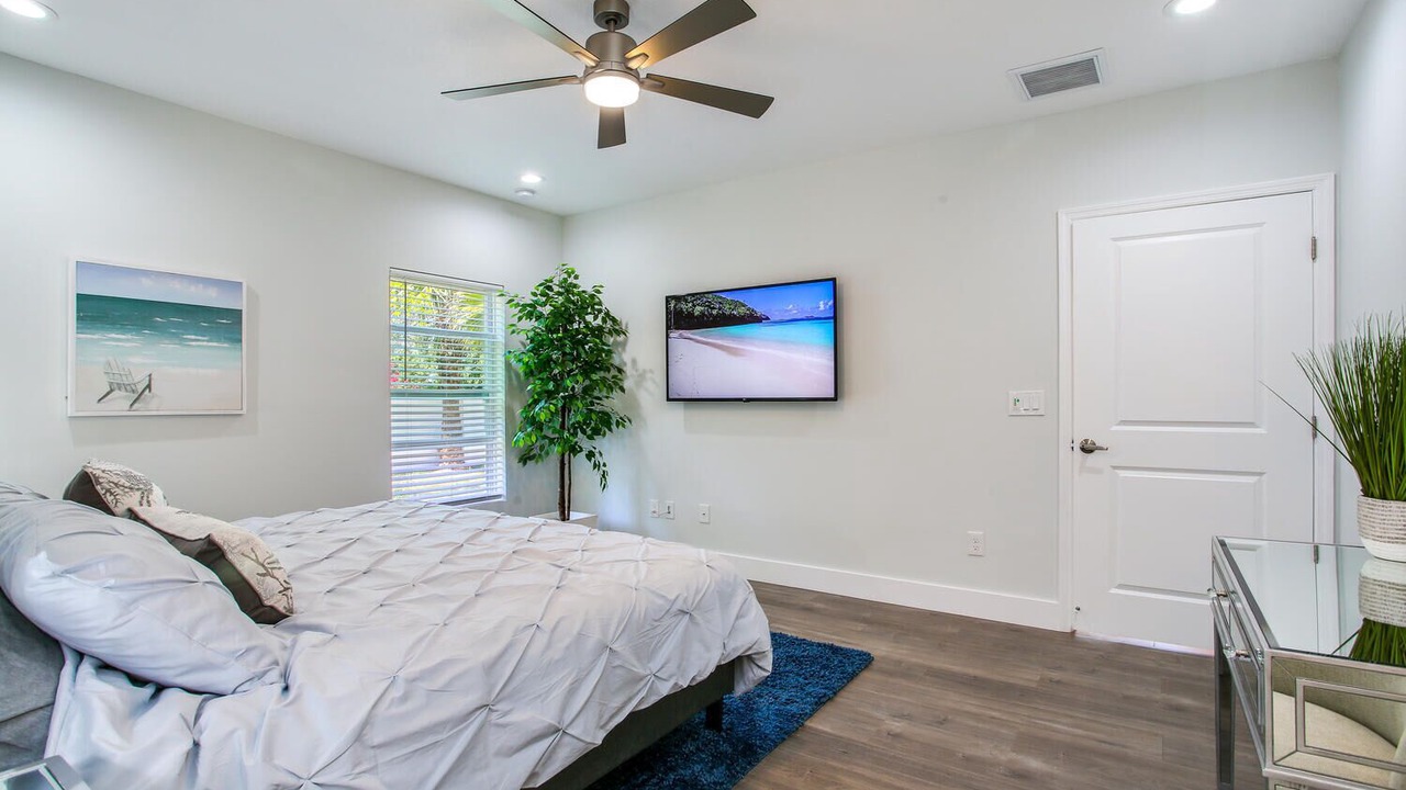 Photo of Others in Dunedin