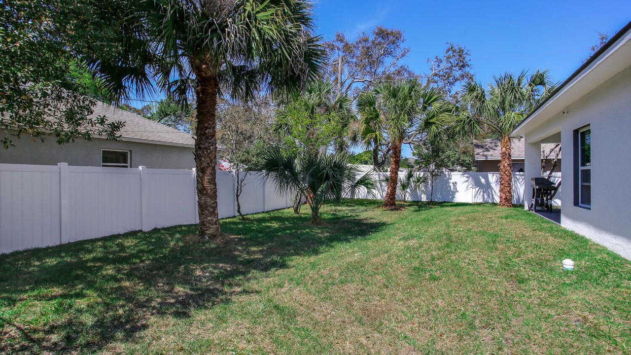 Photo of Others in Dunedin