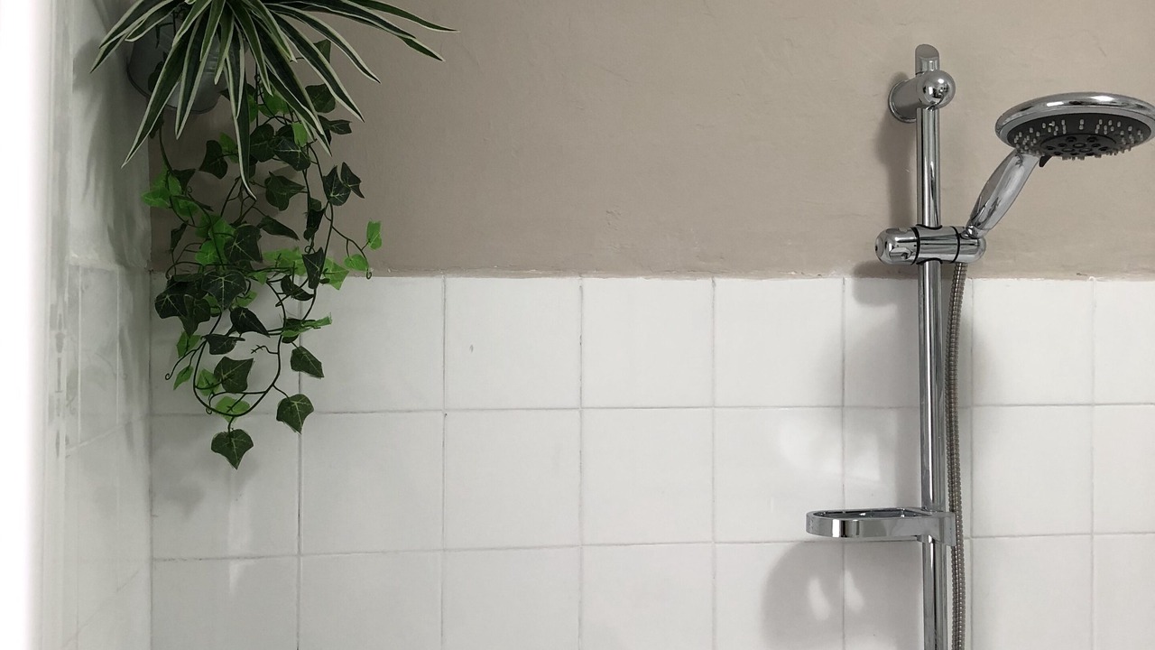 Photo of Bathroom in Elizondo