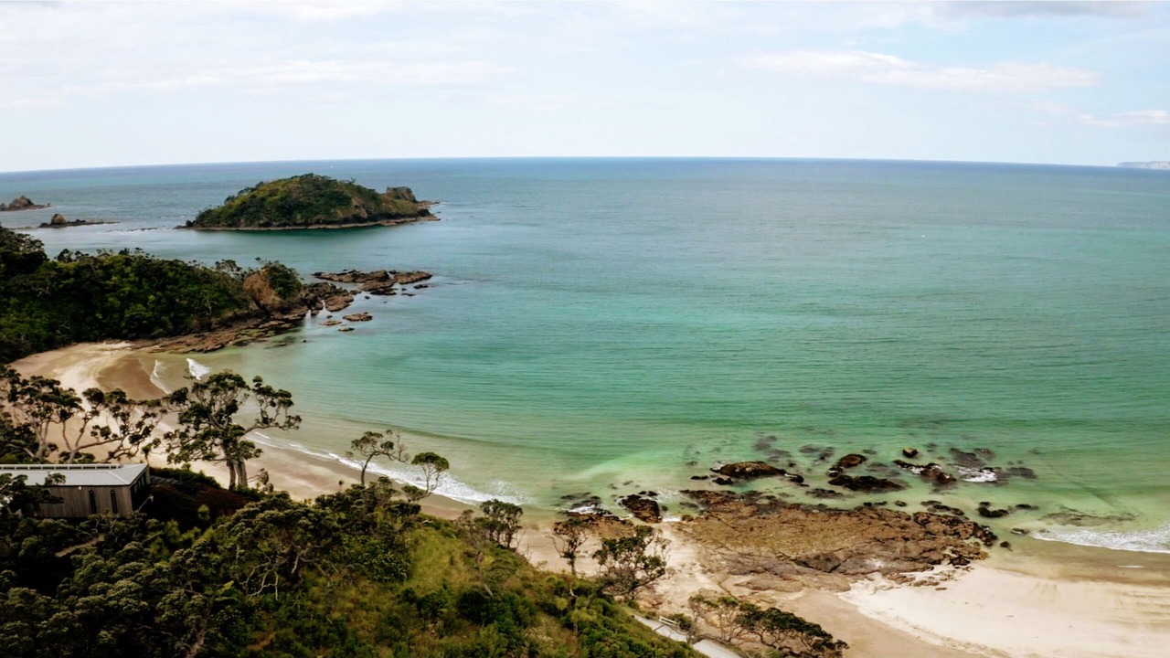 Photo of Others in Whananaki North