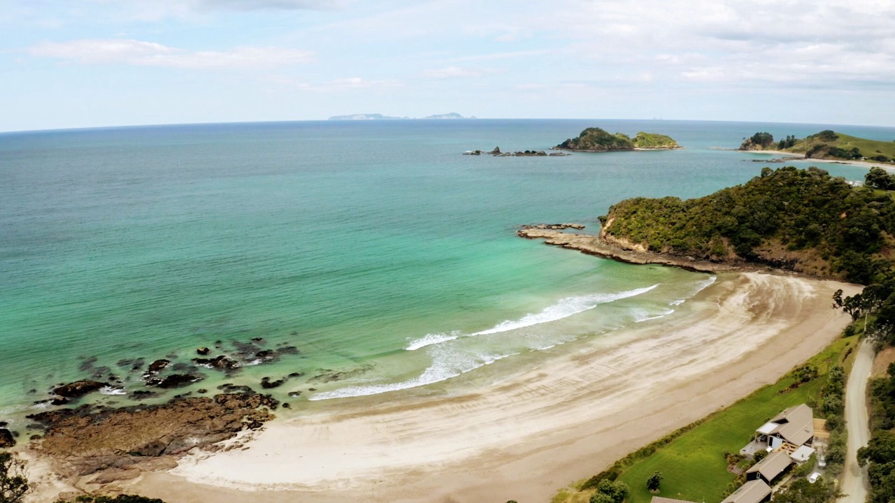 Photo of Others in Whananaki North