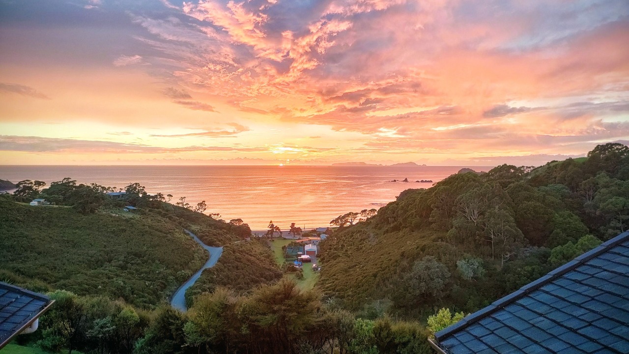 Photo of Others in Whananaki North