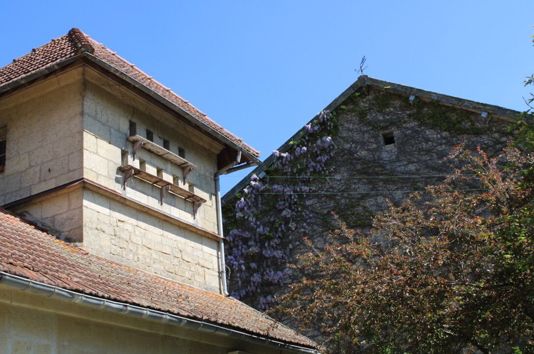 Photo of Outdoor in Verneuil-sous-Coucy