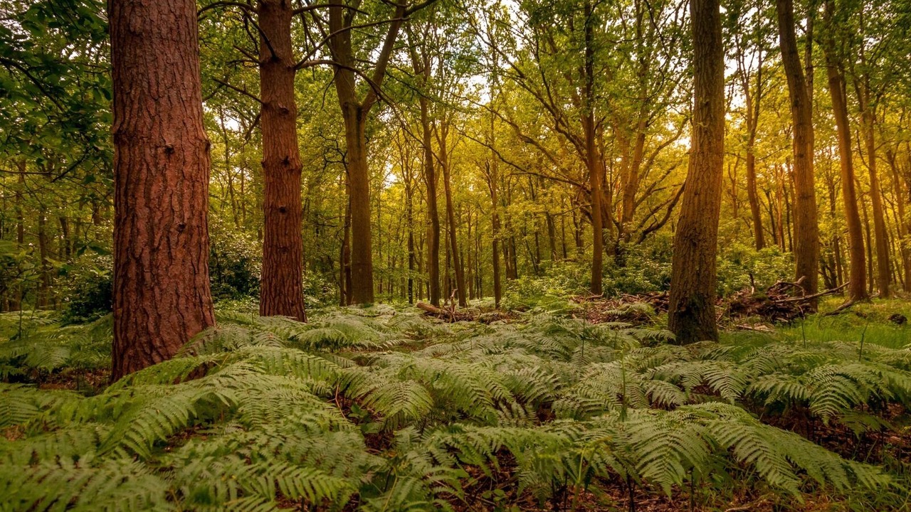 Photo of Others in Guildford