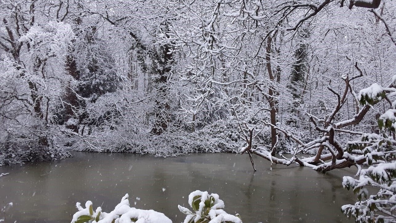 Photo of Others in Guildford