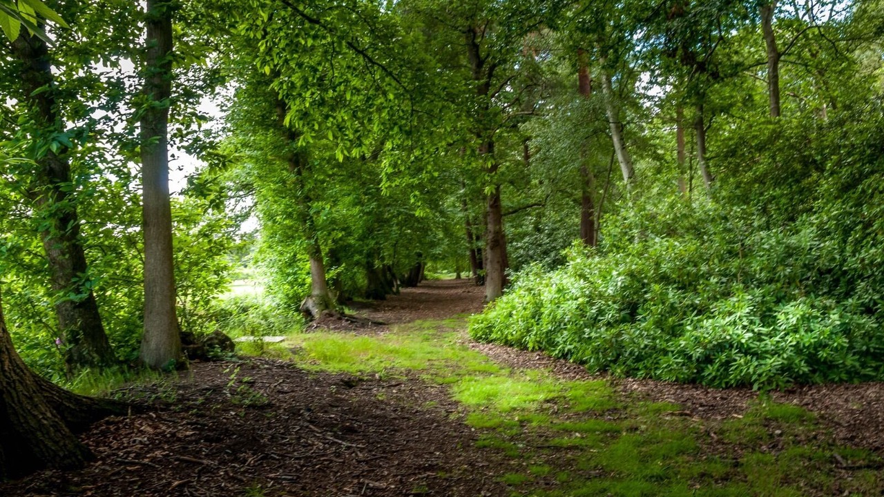 Photo of Others in Guildford