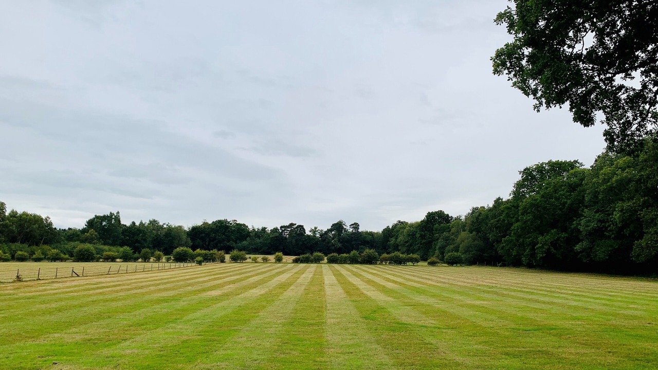 Photo of Others in Guildford