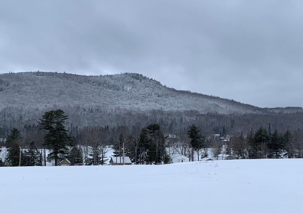 Photo of Others in Presque Isle