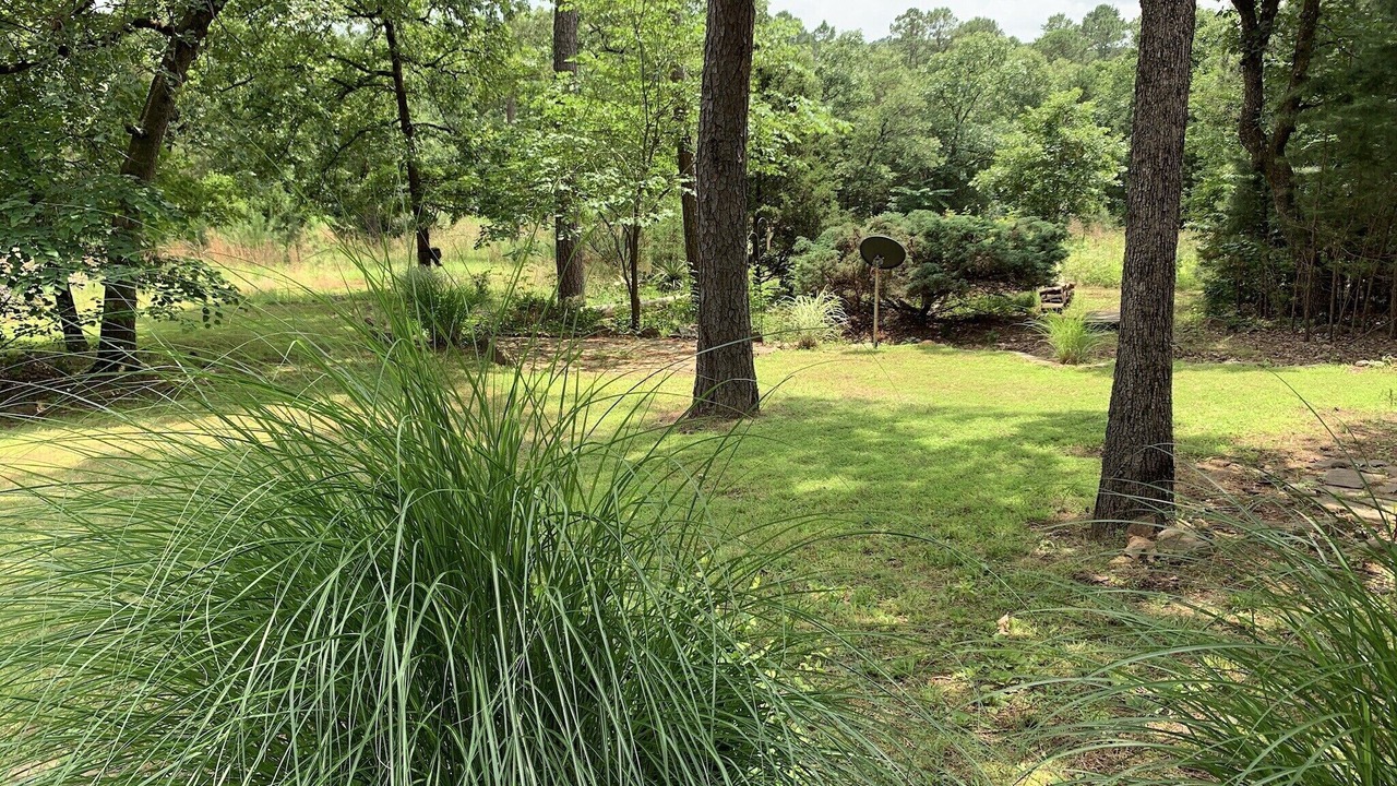 Photo of Outdoor in Summerfield