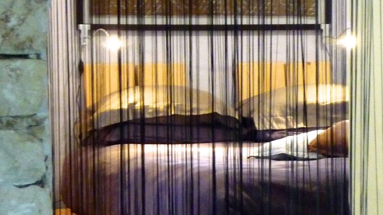 Photo of Bedroom in Barbaggio
