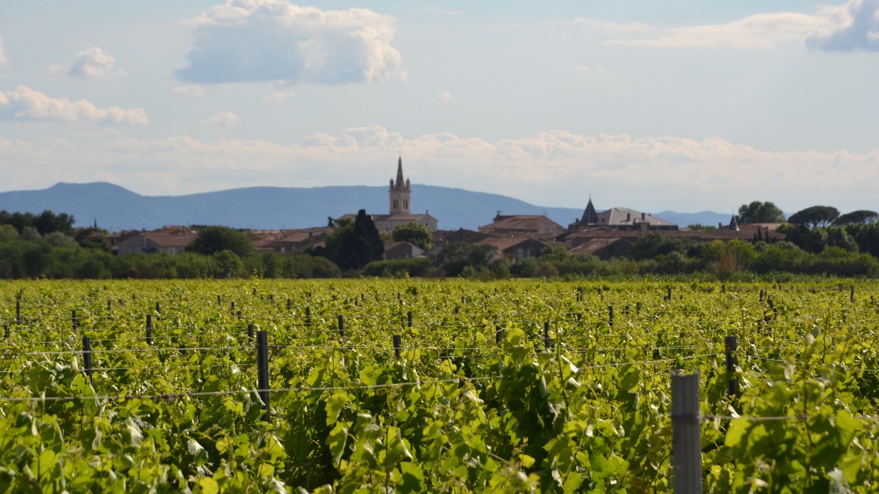Photo of Others in Olonzac