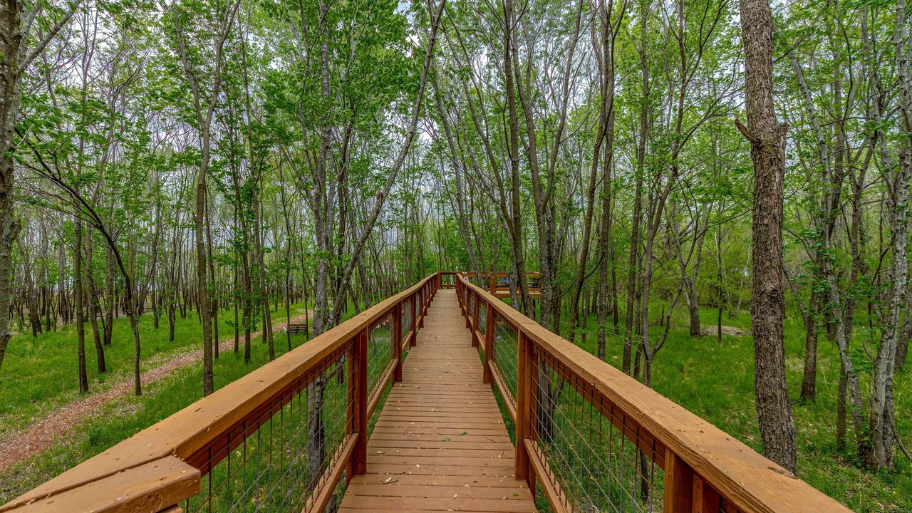 Photo of Outdoor in Grove