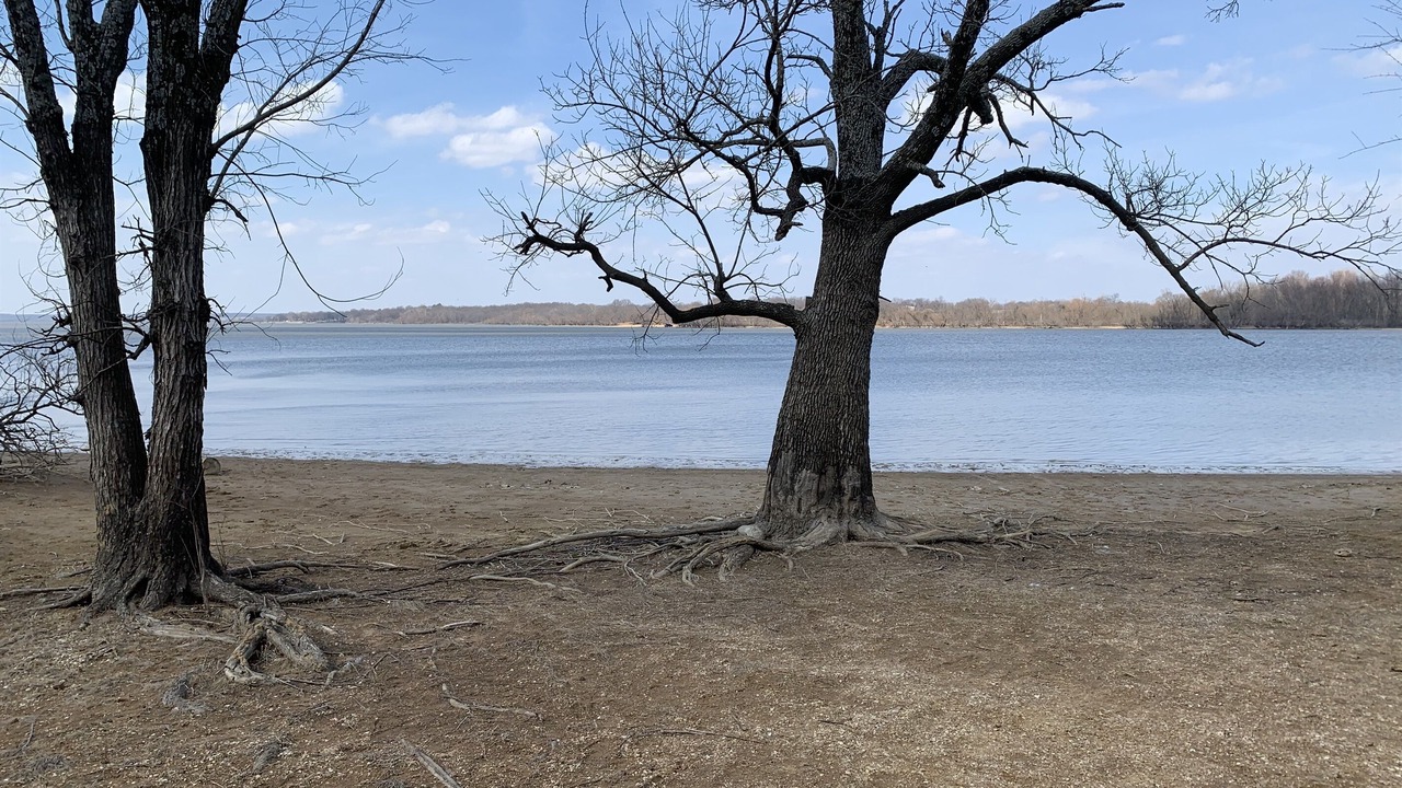 Photo of Outdoor in Grove