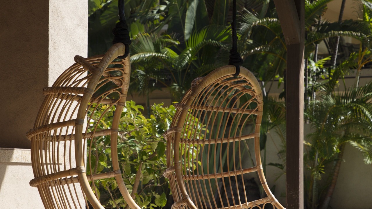 Photo of Others in Portlock