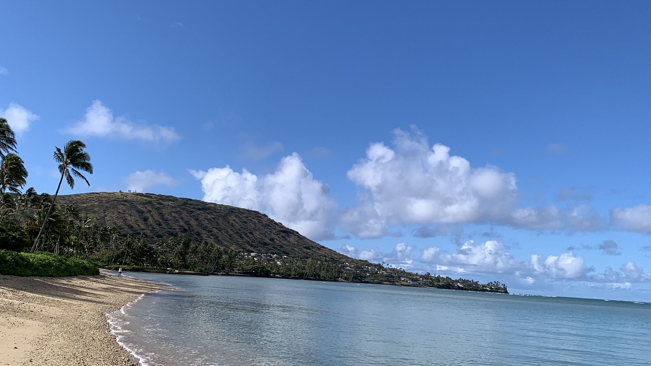 Photo of Others in Portlock