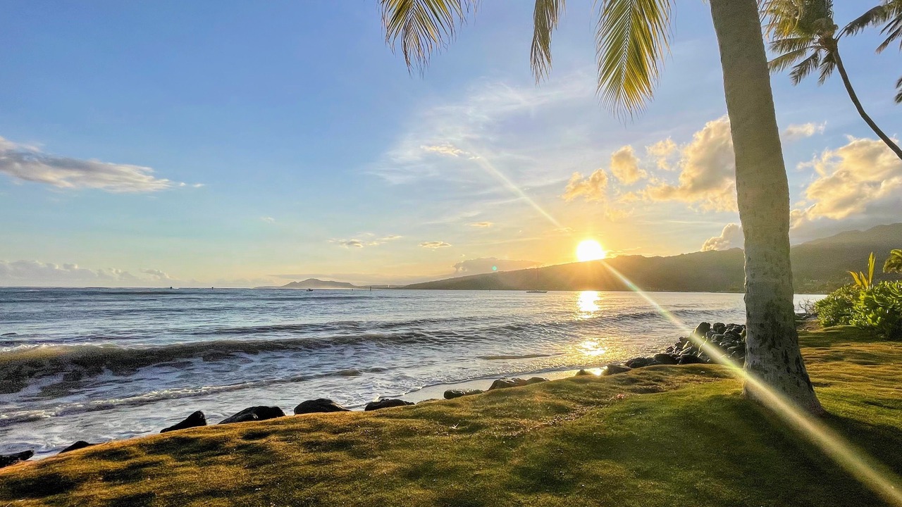 Photo of Others in Portlock