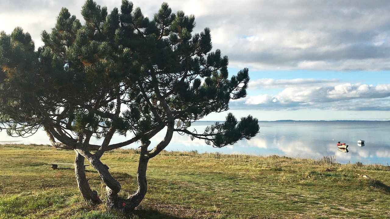 Photo of Outdoor in Hornsved