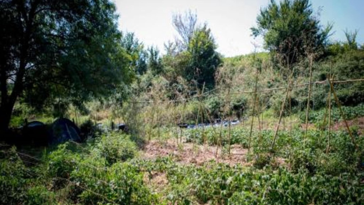 Photo of Others in Cendrieux