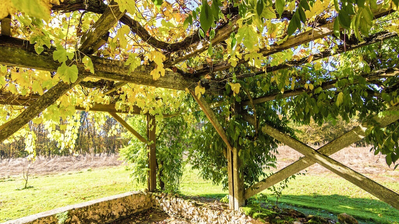Photo of Patio Balcony in Cendrieux