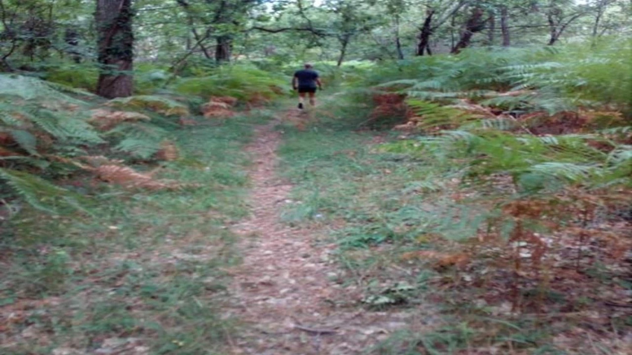 Photo of Others in Cendrieux