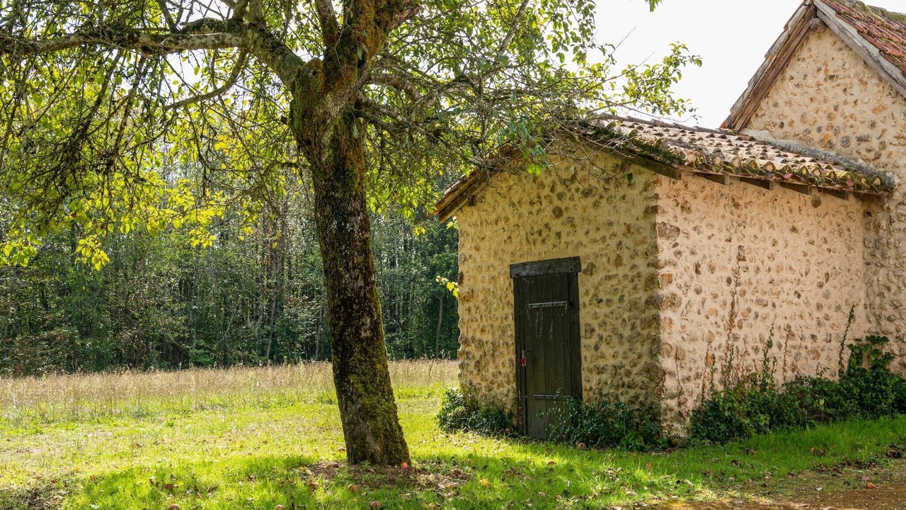 Photo of Outdoor in Cendrieux