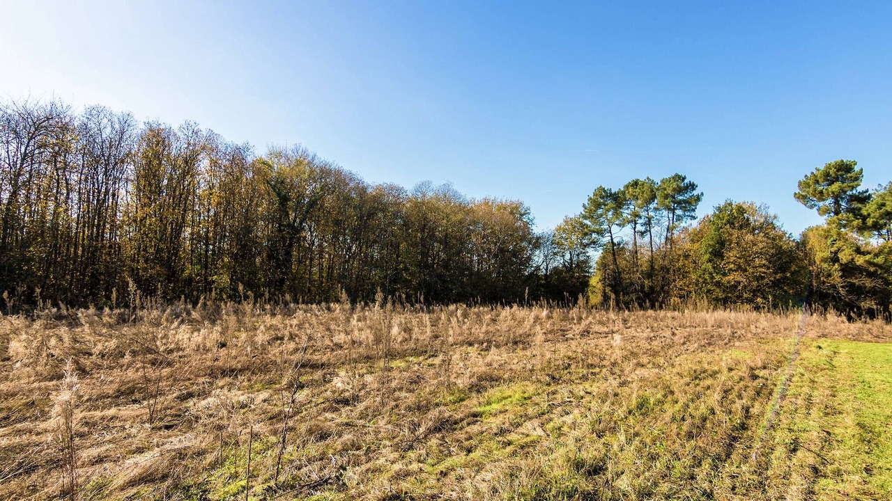 Photo of Others in Cendrieux