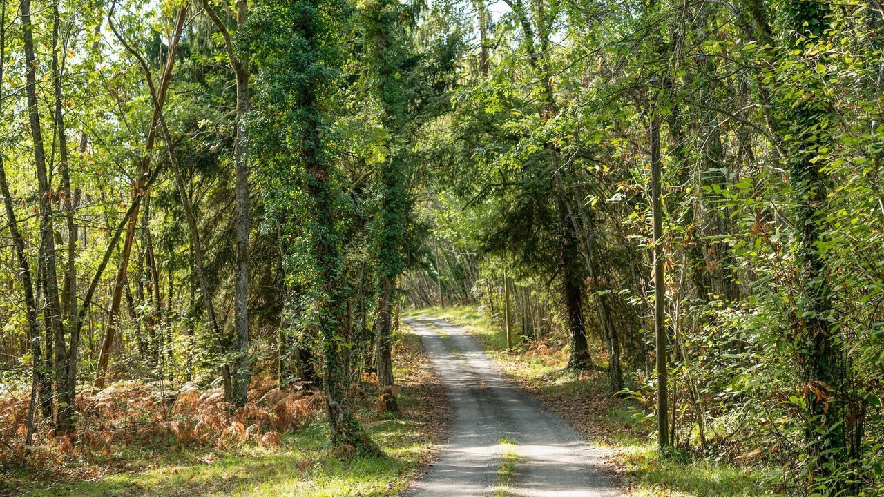 Photo of Others in Cendrieux