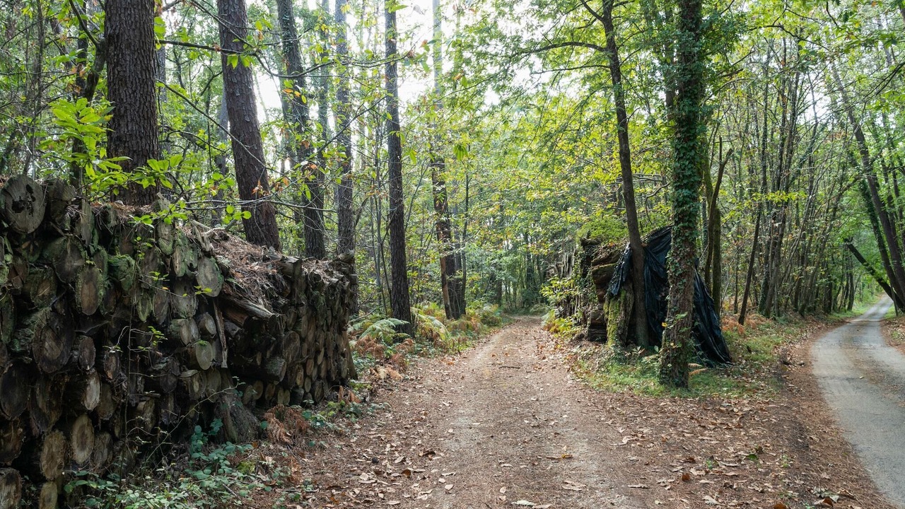 Photo of Others in Cendrieux