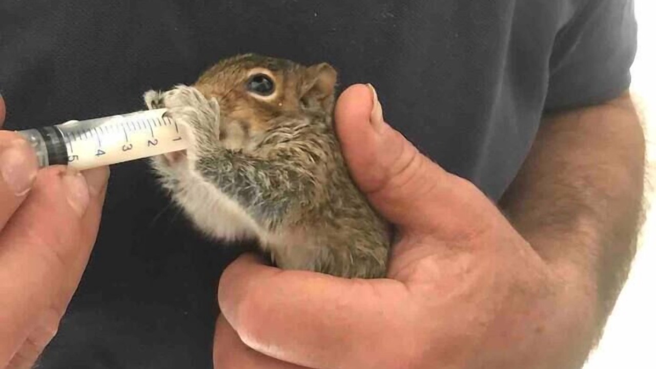 Photo of Others in Corwen