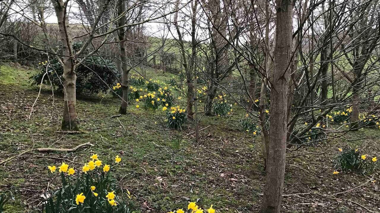 Photo of Others in Corwen