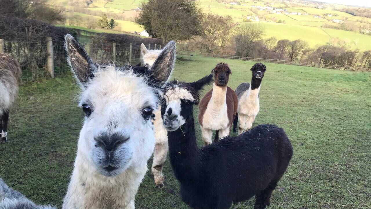 Photo of Others in Corwen