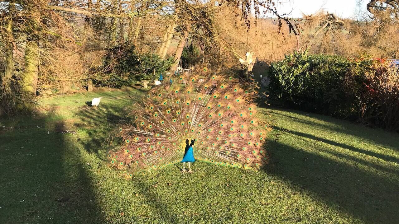 Photo of Others in Corwen